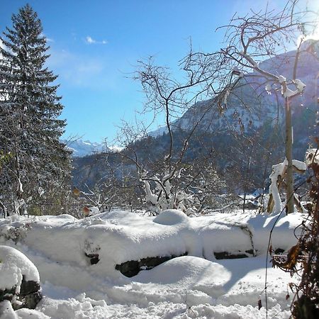 Dunkel Blaue Maus Bed and Breakfast Meiringen Exteriör bild