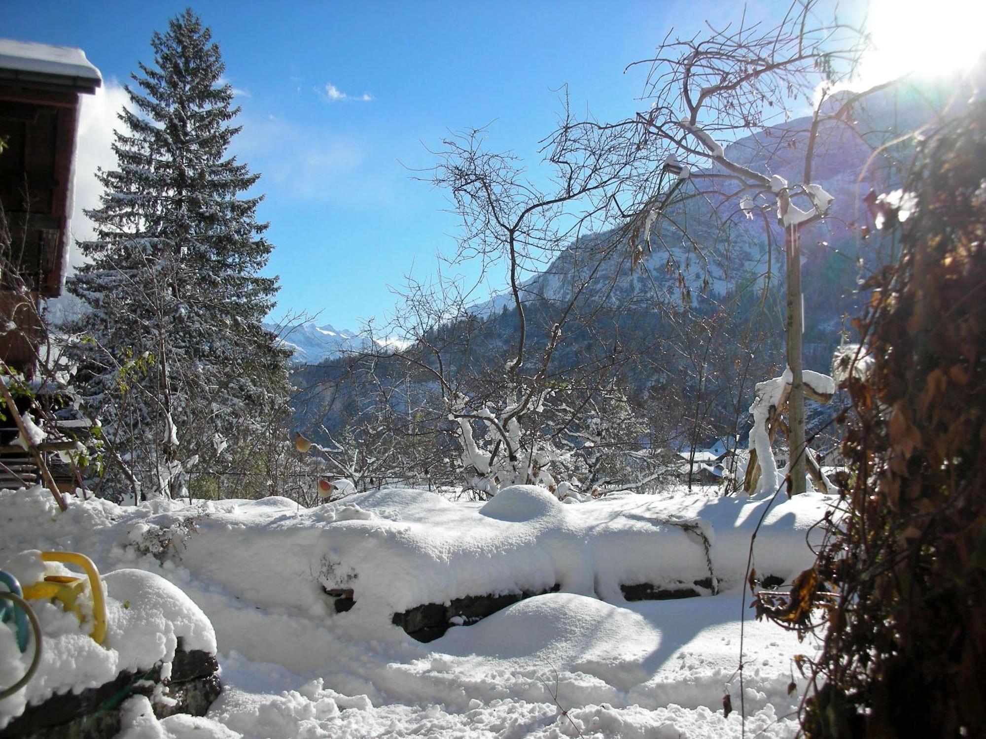 Dunkel Blaue Maus Bed and Breakfast Meiringen Exteriör bild
