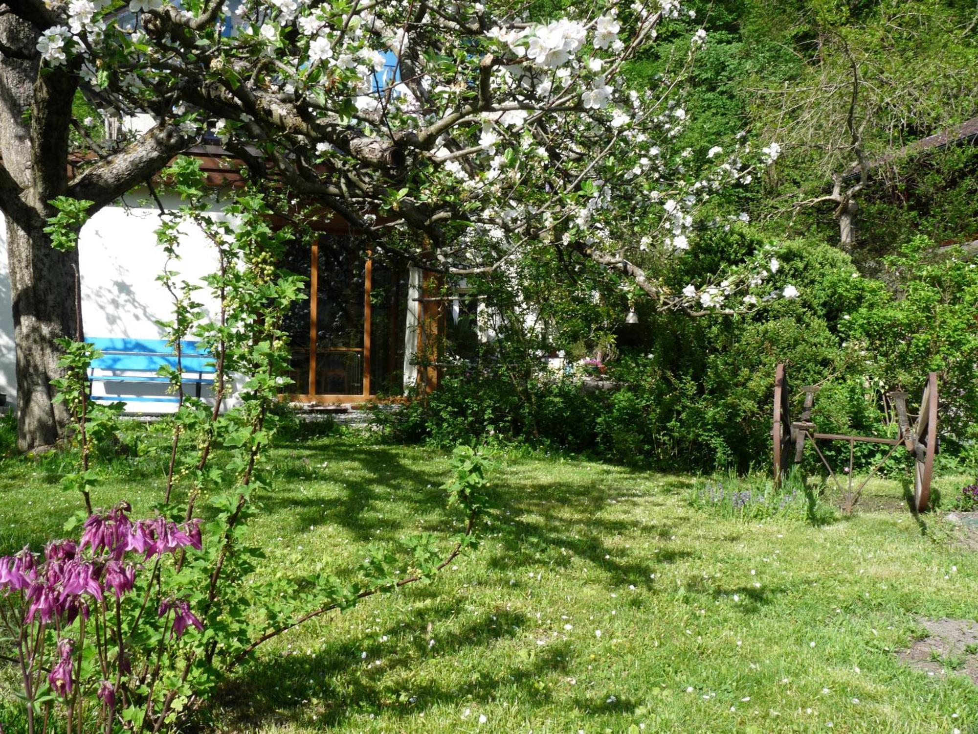 Dunkel Blaue Maus Bed and Breakfast Meiringen Exteriör bild