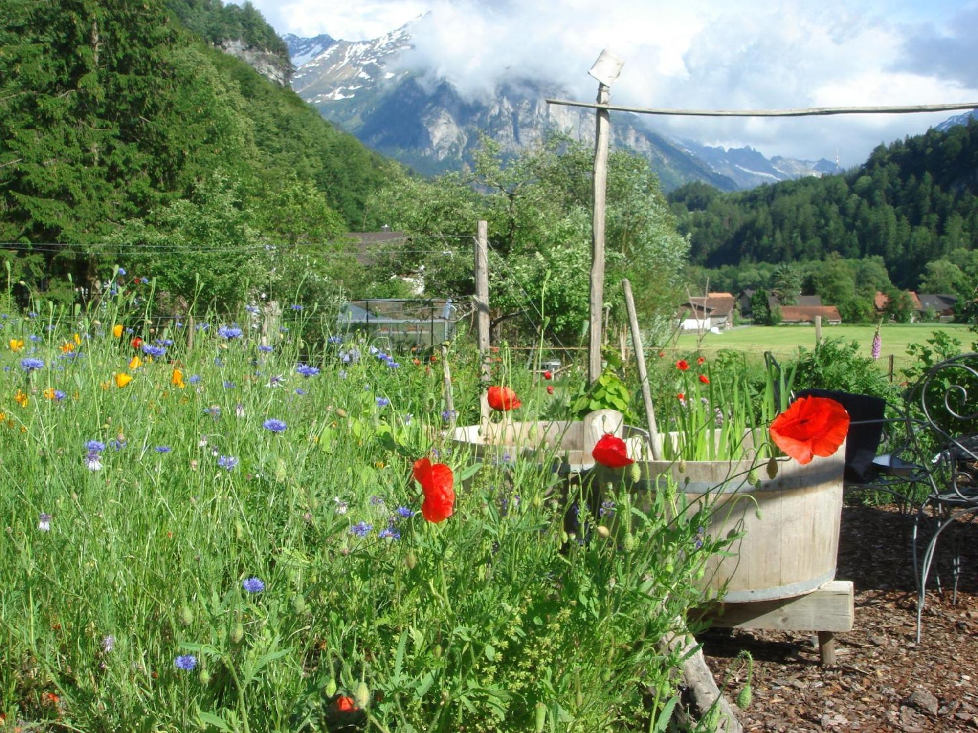 Dunkel Blaue Maus Bed and Breakfast Meiringen Exteriör bild